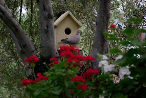 Motel Gurel Garden House