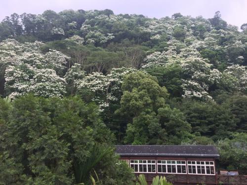 Yu Ho Yuan Lesiure Homestay