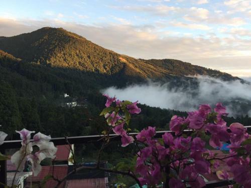 Shan Lan B&B