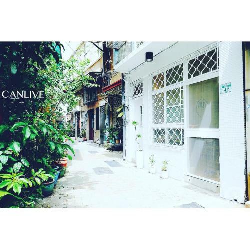 Canlive