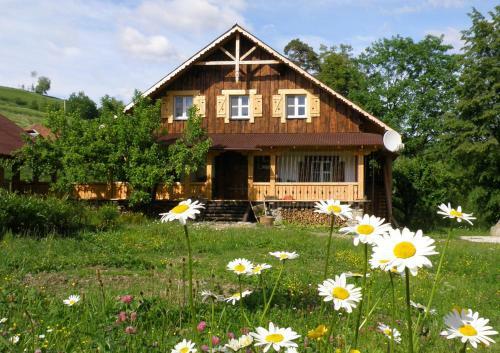 Hostal Salamandra Village