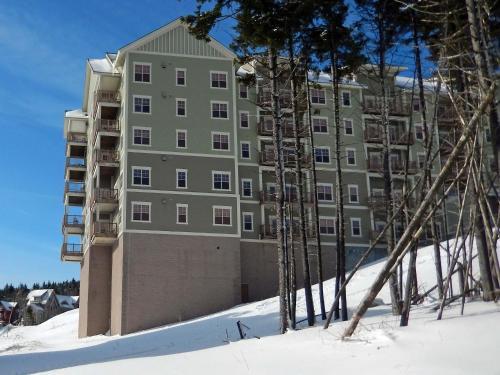 3 Br: Soaring Eagle 104