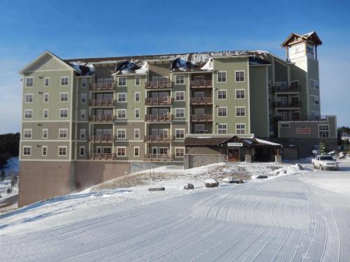 3 Br: Soaring Eagle 104