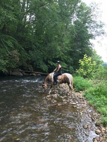 Bed & Breakfast Nellysford Country Inn