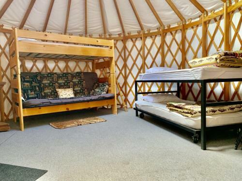 Lodge Lawson Adventure Park