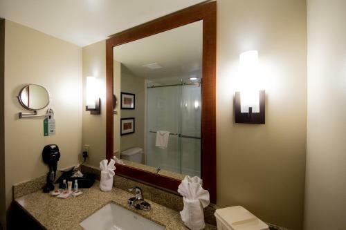 Hotel Comfort Suites Near Rainbow Springs Dunnellon