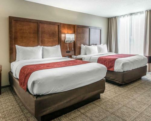 Hotel Comfort Suites Near Rainbow Springs Dunnellon
