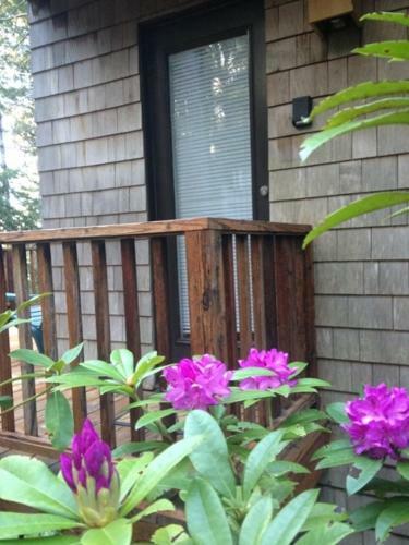 Casita Hideaway Home