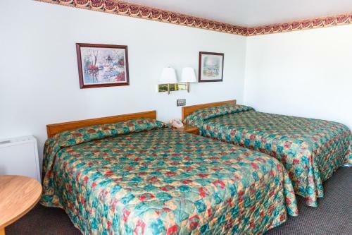 Motel Safari Inn