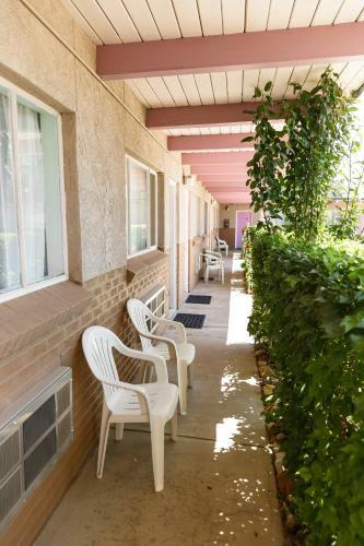 Motel Safari Inn