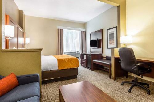 Hotel Comfort Suites At The University