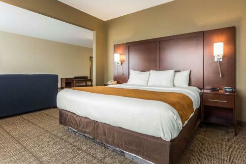 Hotel Comfort Suites At The University
