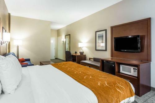 Hotel Comfort Suites At The University