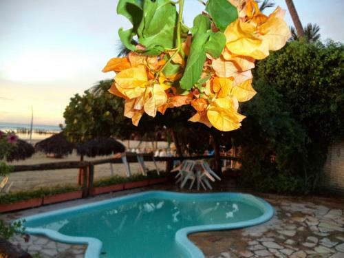 Hostal Pousada Vira Sol