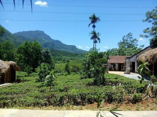 Family Homestay
