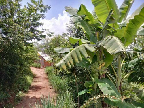 Hotel Lak Tented Camp