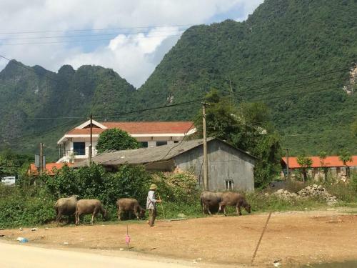 Hotel Tung Duong Guest House