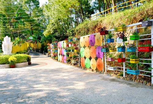 Hotel Phu Ninh Lake Resort