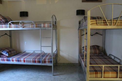 Phong Nha Gecko Hostel