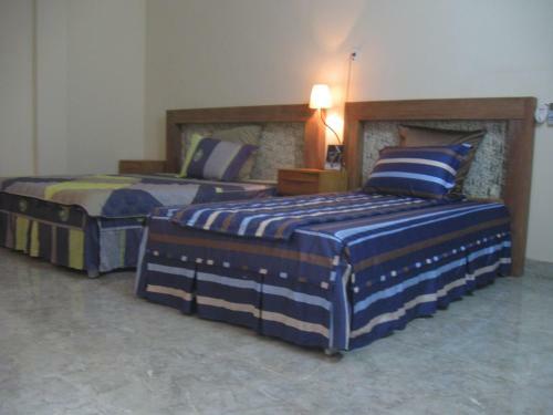Phong Nha Gecko Hostel