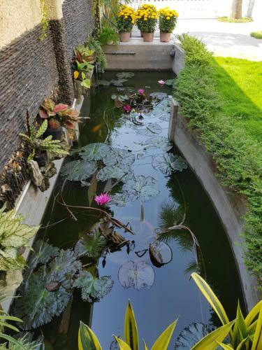 Hotel Minh Kim Guesthouse