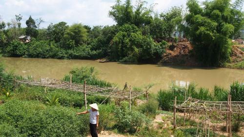 Cat Tien Bridge Homestay