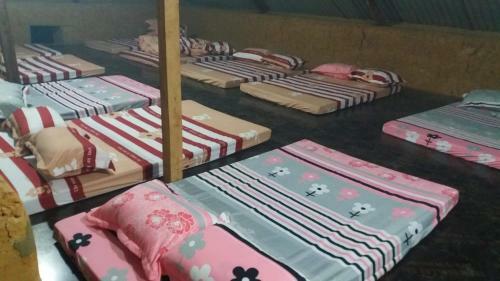 Bed & Breakfast Discover Y Ty Homestay
