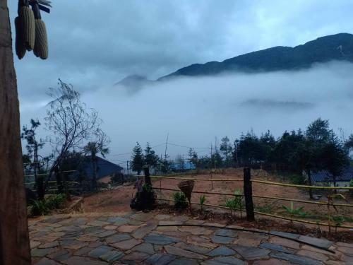 Bed & Breakfast Discover Y Ty Homestay