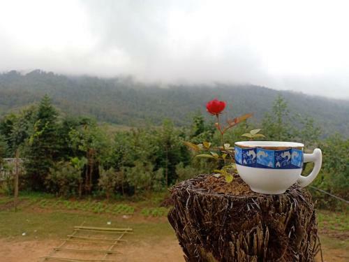 Bed & Breakfast Discover Y Ty Homestay