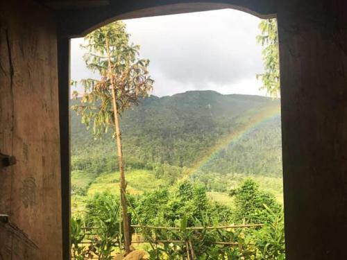 Bed & Breakfast Discover Y Ty Homestay