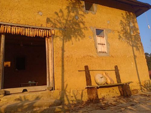 Bed & Breakfast Discover Y Ty Homestay