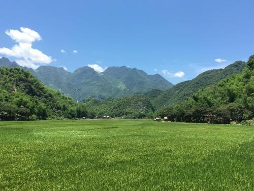 With Love From The Mountains Homestay