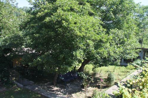 Agroturismo Country House Bagmaran