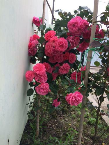 Hostal Guest House On Gagarina 10