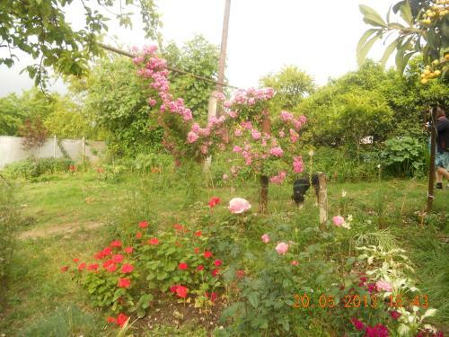 Hostal Guest House Na Myasnikova