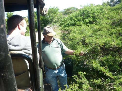 Lodge Inkwenkwezi Private Game Reserve