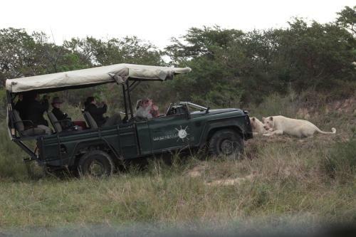 Lodge Inkwenkwezi Private Game Reserve