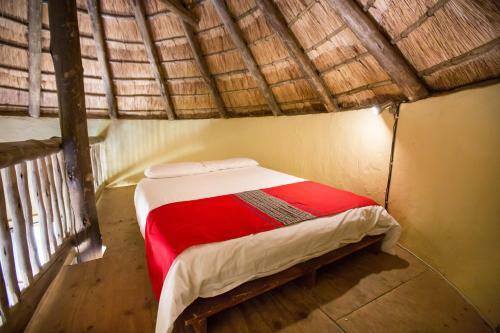 Albergue Amphitheatre Backpackers Lodge