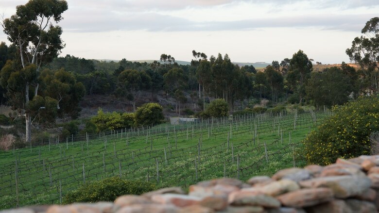 Bed & Breakfast Stellar Overberg Travellers Lodge