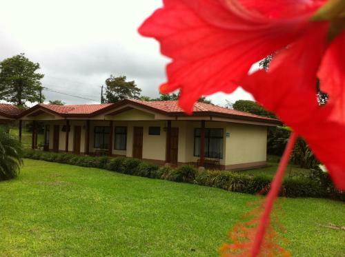 Hotel Termales Del Bosque