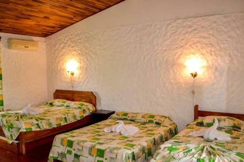 Hotel Termales Del Bosque