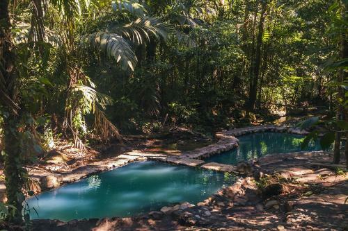 Hotel Termales Del Bosque