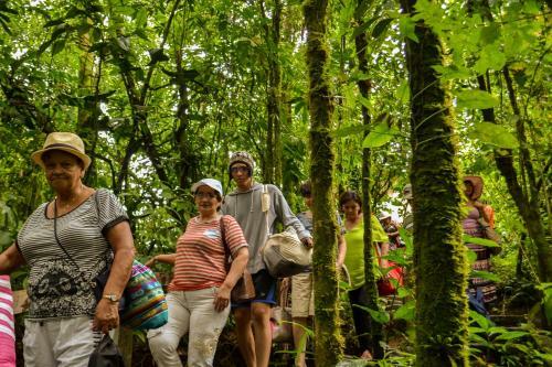 Hotel Termales Del Bosque