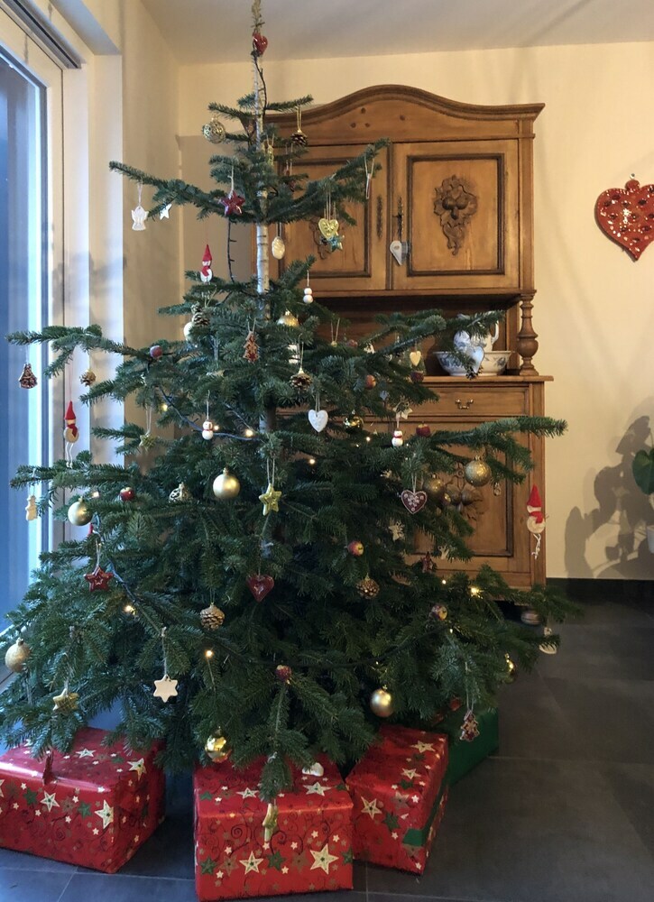 B&B Chambres D?h�tes Coeur de Village Alsace