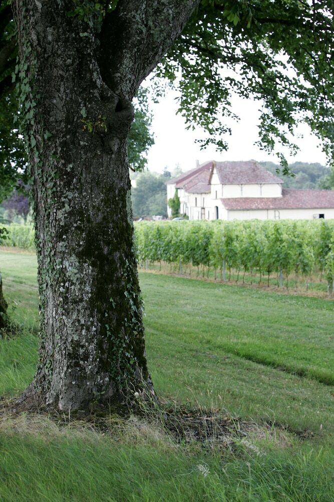 Bed & Breakfast Domaine Du Have