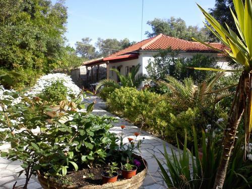 Villa Elvira