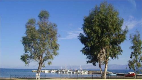Apartamento Angelica