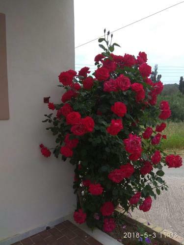 Apartamento Romeo & Juliet