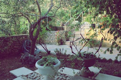 Hostal Apartmani Miro Opacak