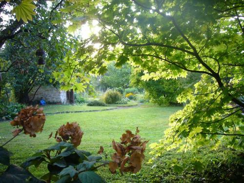Hotel Silvia Krafts Bed And Breakfast